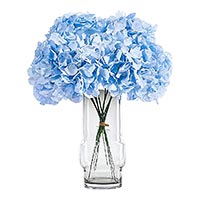 Artificial Flowers & Trees